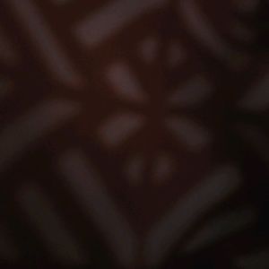 Meet your Posher, Tanisha